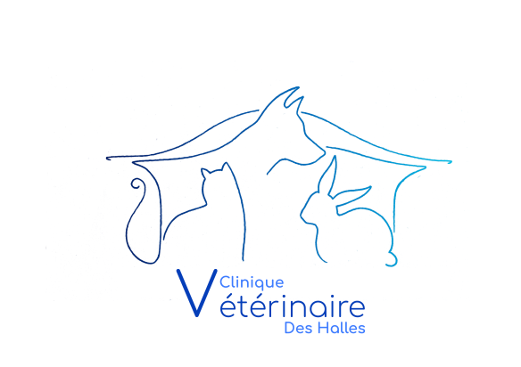 La Clinique Vétérinaire des Halles se situe au 11 & 13 Place du Commerce à 44600 Saint-Nazaire (place où se situent les Halles et le marché).